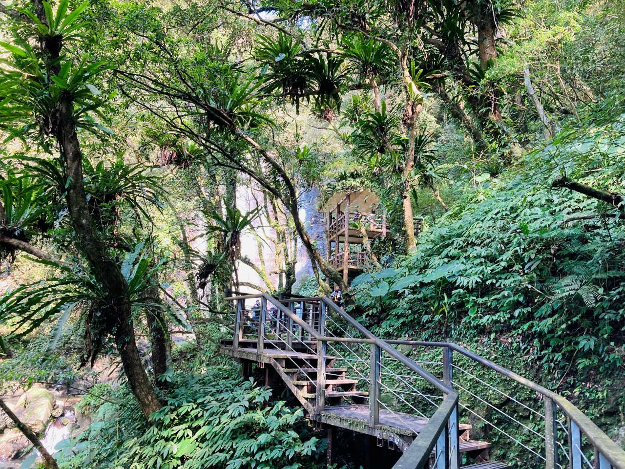 TWTYU02
滿月圓森林遊樂區 . 鶯歌老街時光之旅一日遊